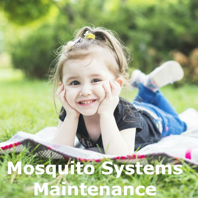 Plano TX mosquito misting system Texan Mosquito Systems