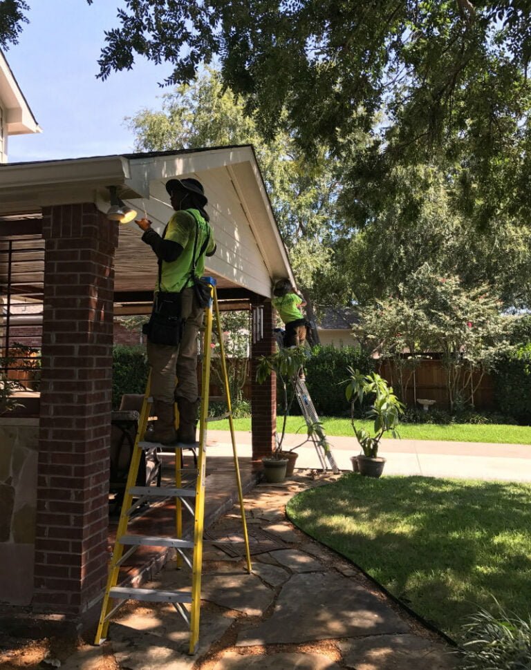 mosquito treatment Cypress, TX