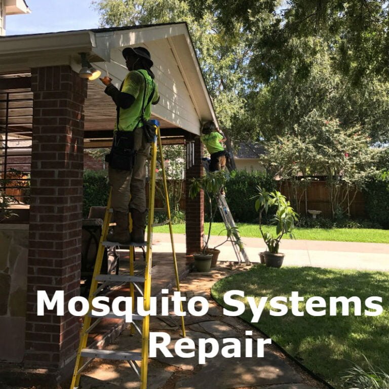 best mosquito control systems Dallas, TX