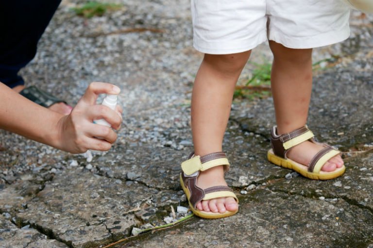 best outdoor mosquito repellent system Katy, TX