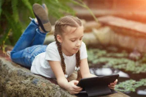 Sugar Land TX Best Outdoor Mosquito Repellent System