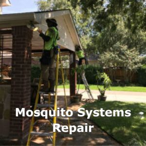 mosquito-systems-maintenance