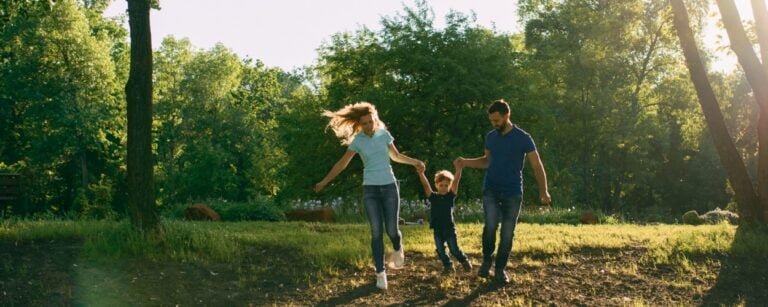 backyard mosquito control systems Pearland, TX