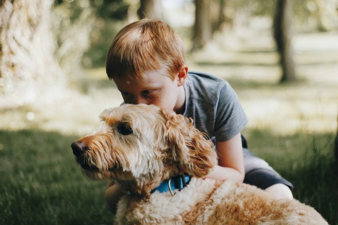 Texan Mosquito Systems | Houston Mosquito Control | Get a Quote 13 Children spending time outdoors with their dog