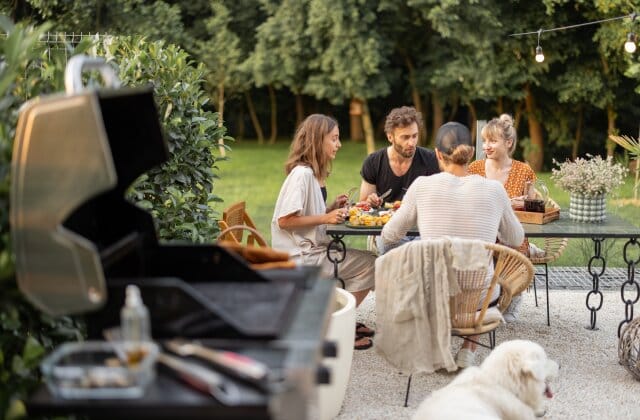 Enjoy Mosquito-Free Outdoor Gatherings This Holiday Season 1 automated misting solutions