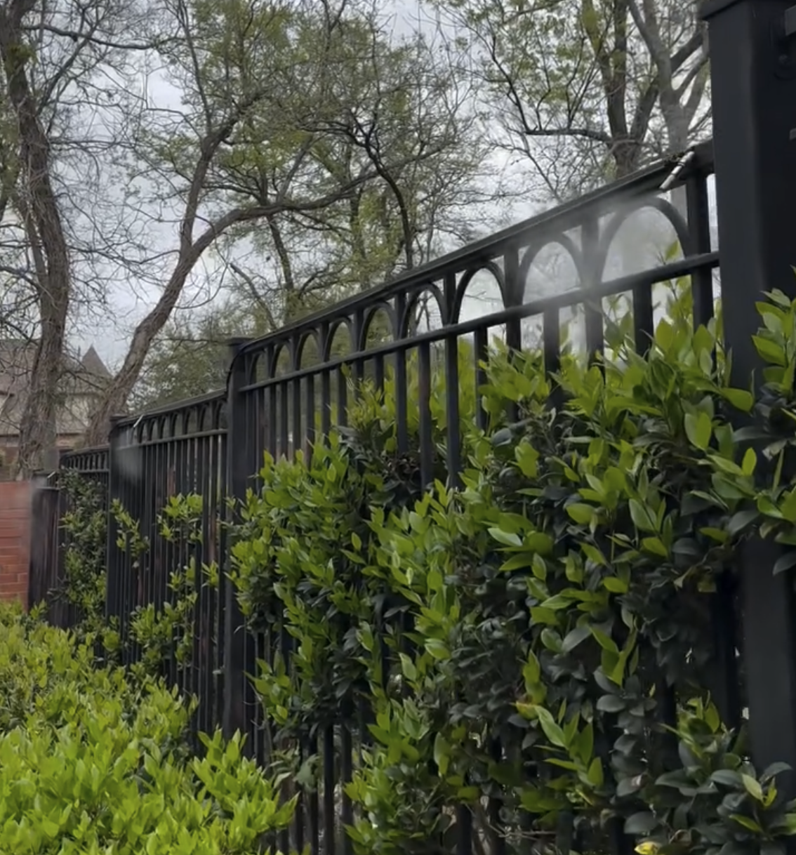 mosquito control services near me Tyler, TX