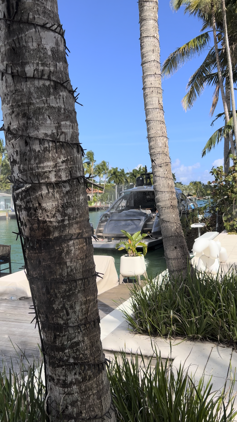 Waterfront property mosquito misting install Houston TX, Texan Mosquito Systems