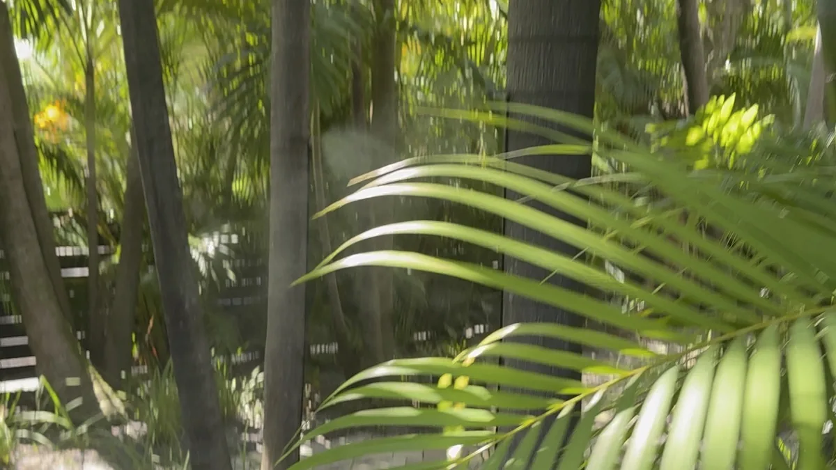Tropical Texas backyard landscape kept bite-free through peak mosquito season by a Texan Mosquito Systems custom misting system